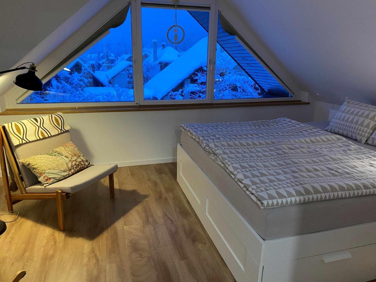 Apartment Zidana Marela - Attic With A View クランスカゴーラ エクステリア 写真