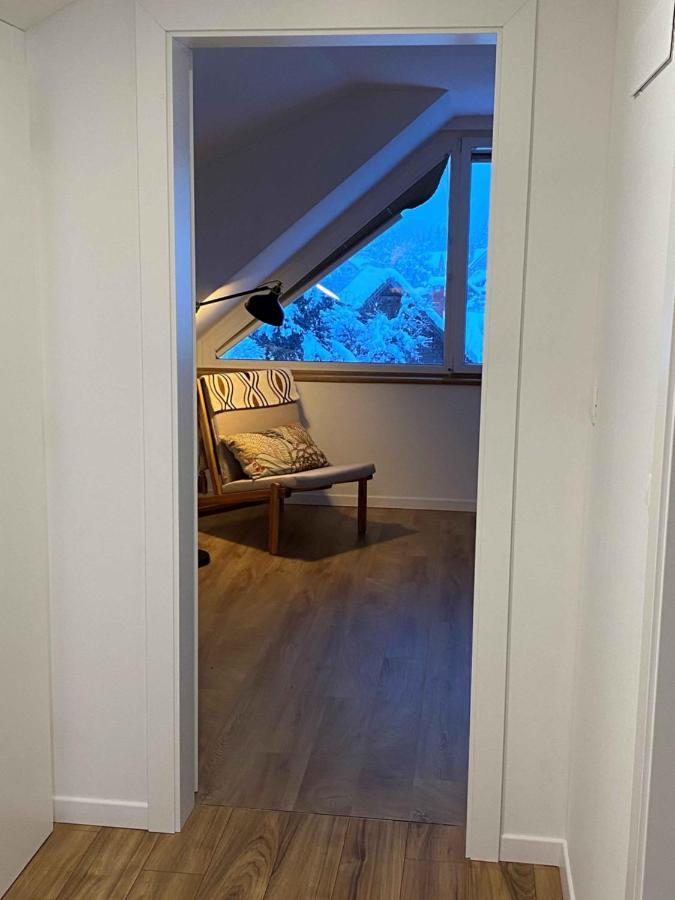 Apartment Zidana Marela - Attic With A View クランスカゴーラ エクステリア 写真